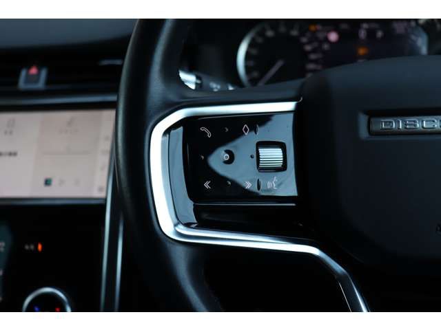 ROVER DISCOVERY SPORTS