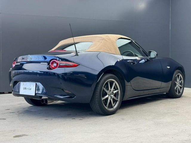 ROADSTER