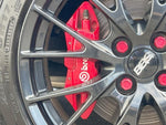 ROADSTER RF