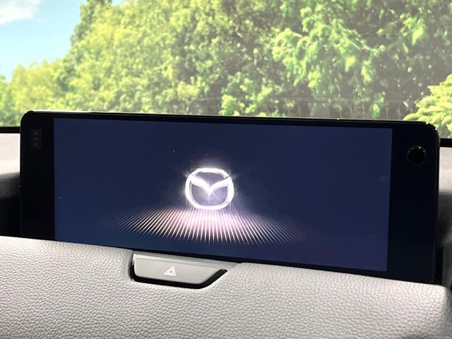 CX-80