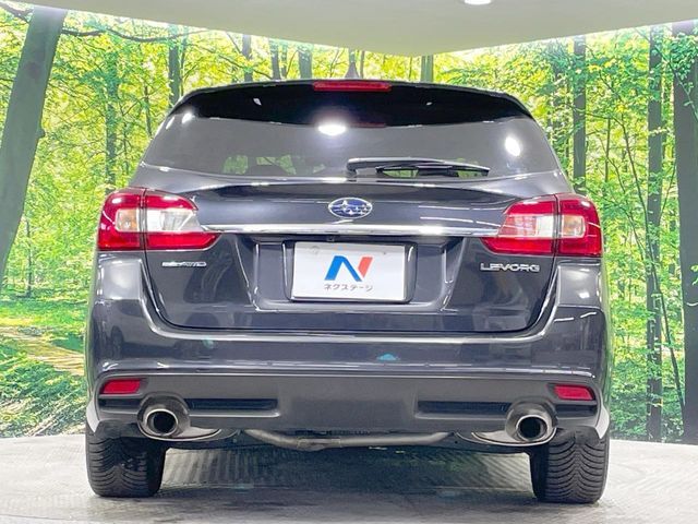 LEVORG