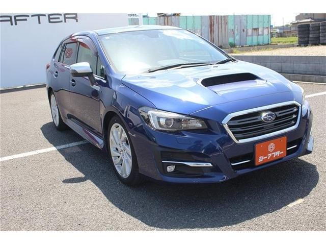 LEVORG