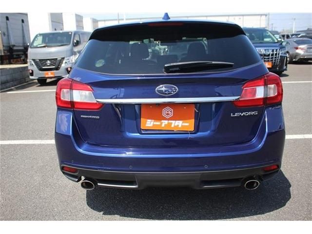 LEVORG