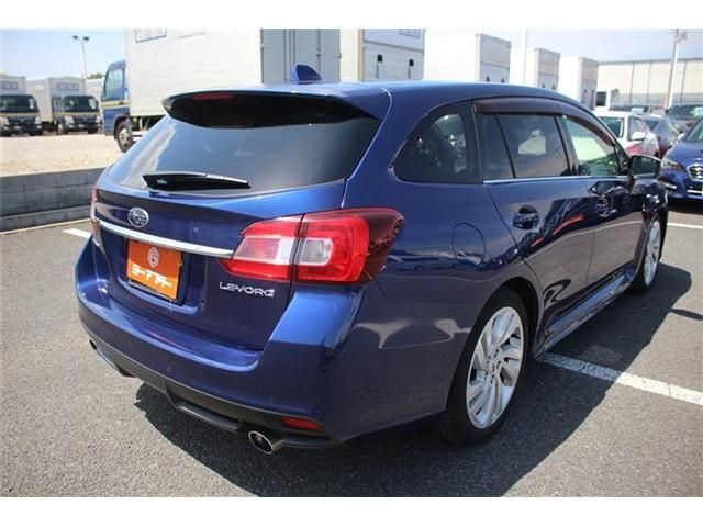LEVORG