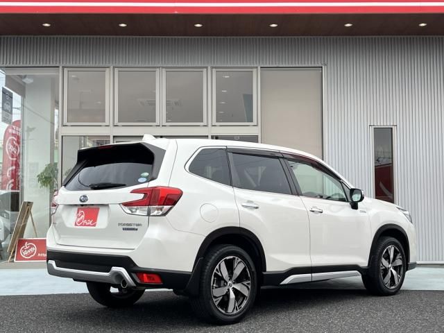 FORESTER