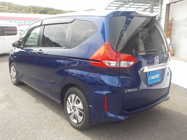 FREED HYBRID