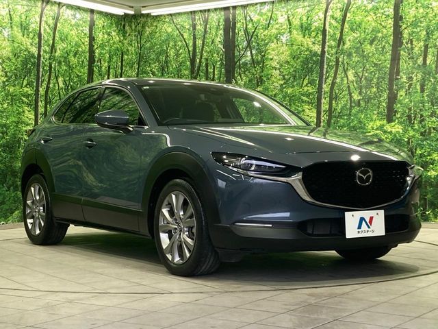 CX-30