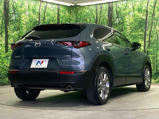 CX-30