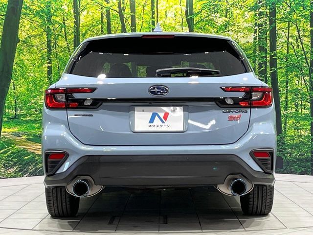 LEVORG