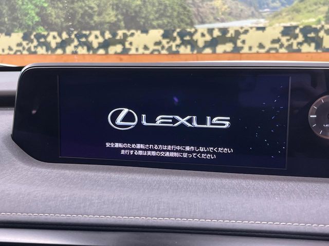 LEXUS UX250h