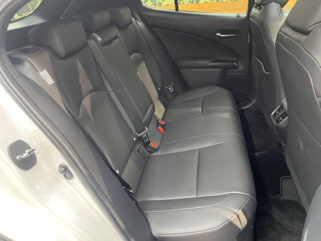 LEXUS UX250h