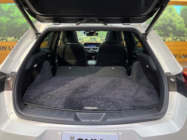 LEXUS UX250h
