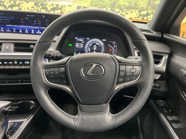 LEXUS UX250h