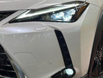 LEXUS UX250h