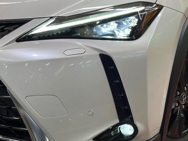 LEXUS UX250h