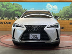 LEXUS UX250h