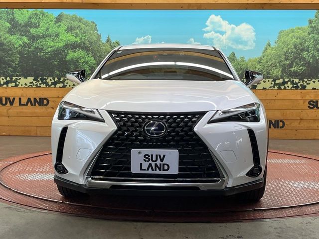 LEXUS UX250h
