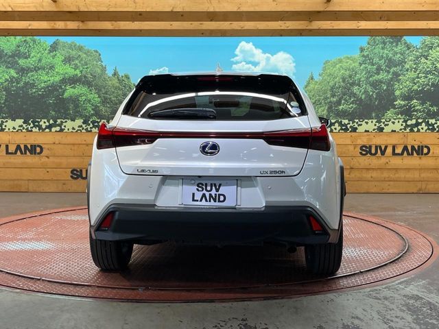 LEXUS UX250h