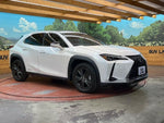 LEXUS UX250h