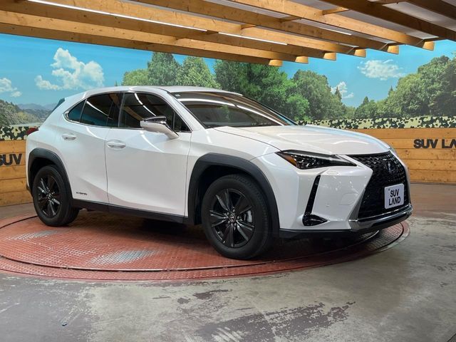 LEXUS UX250h