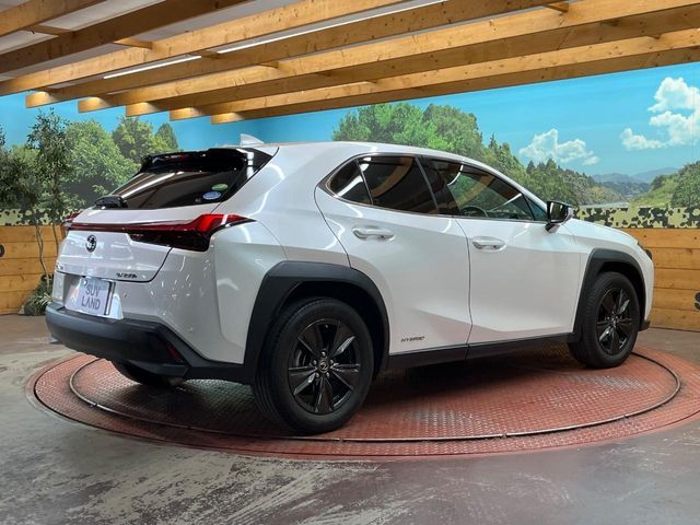 LEXUS UX250h