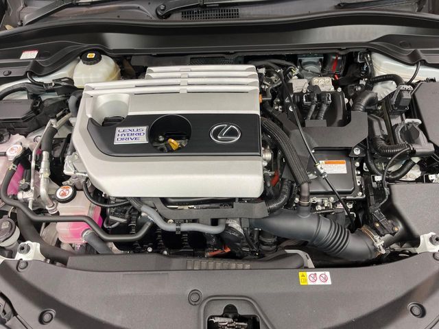 LEXUS UX250h