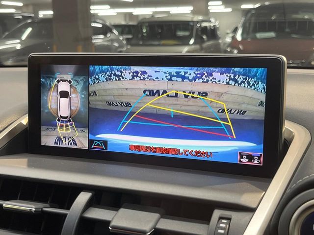 LEXUS NX300h AWD