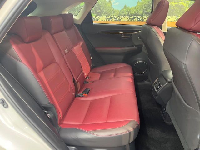 LEXUS NX300h AWD