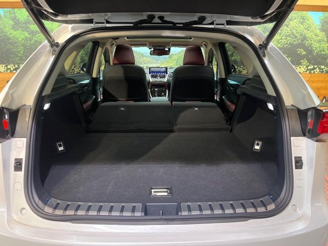 LEXUS NX300h AWD
