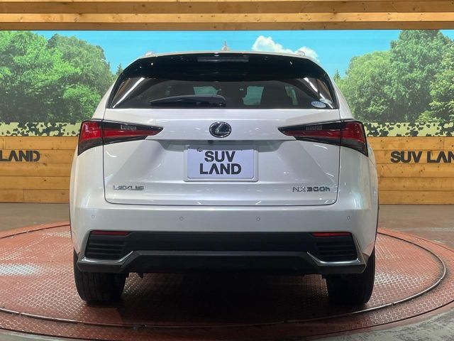 LEXUS NX300h AWD