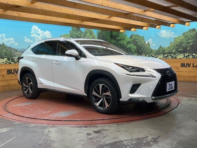 LEXUS NX300h AWD