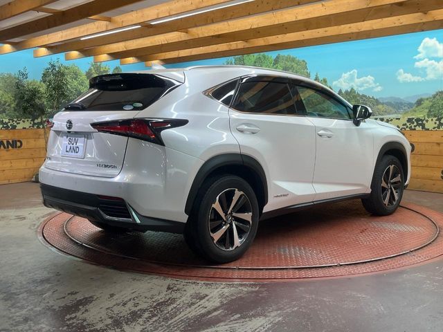 LEXUS NX300h AWD