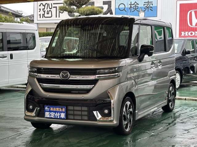 FLAIR WAGON CUSTOM STYLE