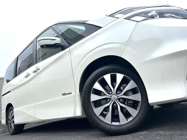 SERENA  S-HYBRID