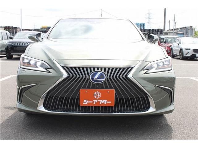 LEXUS ES300h