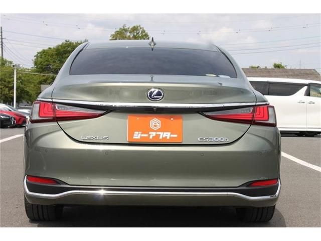 LEXUS ES300h