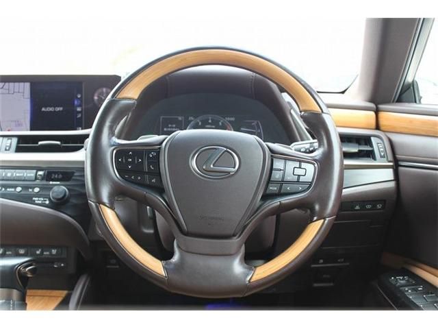 LEXUS ES300h