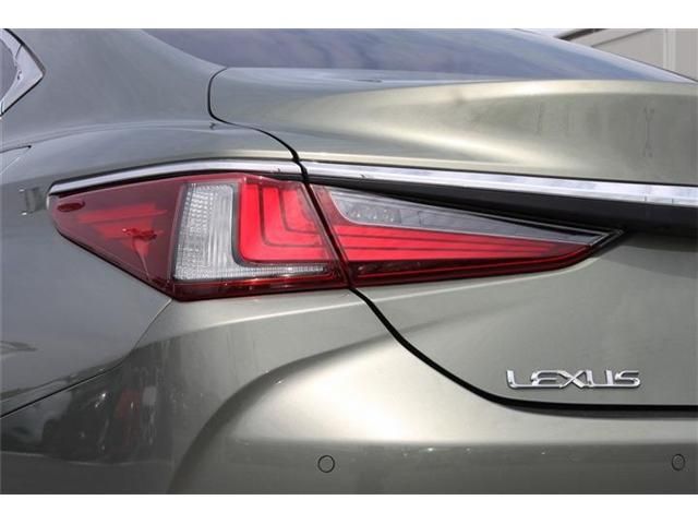 LEXUS ES300h