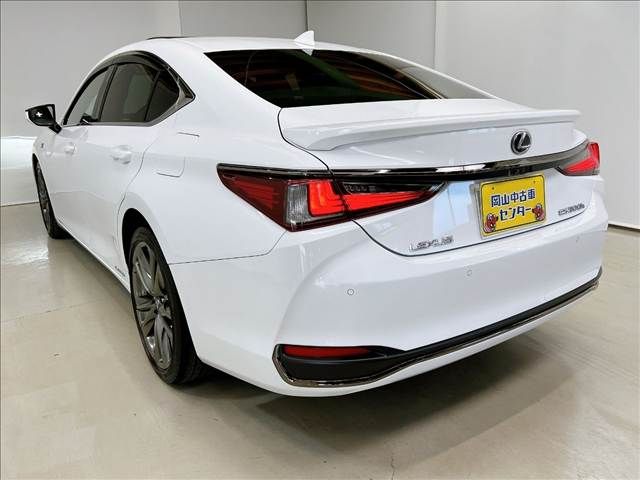 LEXUS ES300h