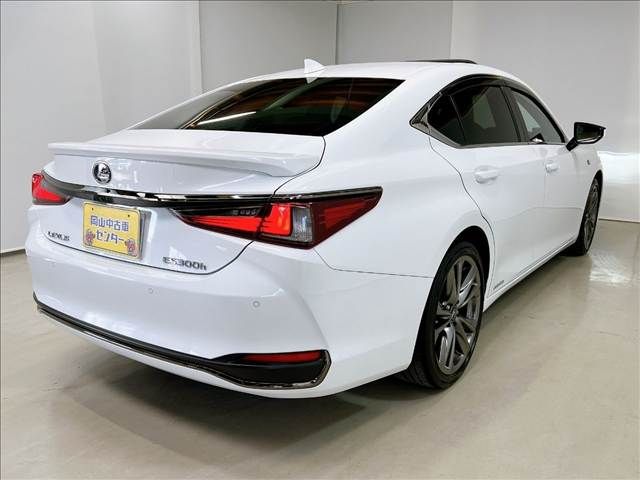 LEXUS ES300h