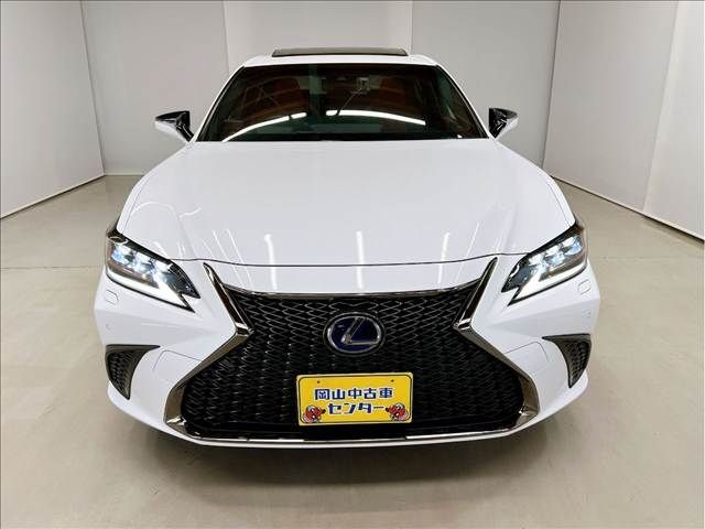 LEXUS ES300h