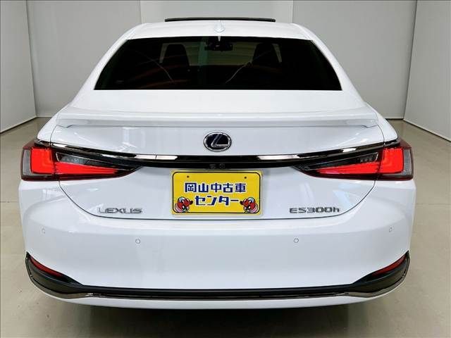 LEXUS ES300h