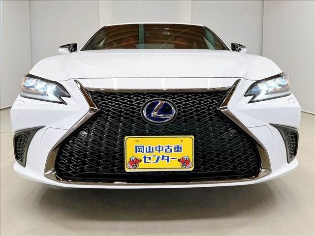 LEXUS ES300h