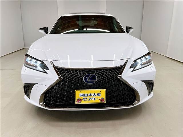 LEXUS ES300h
