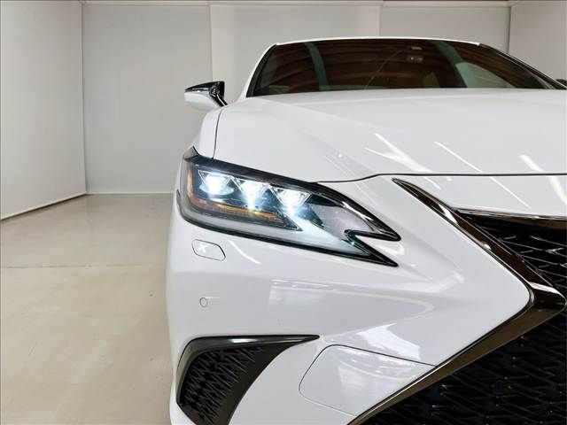 LEXUS ES300h