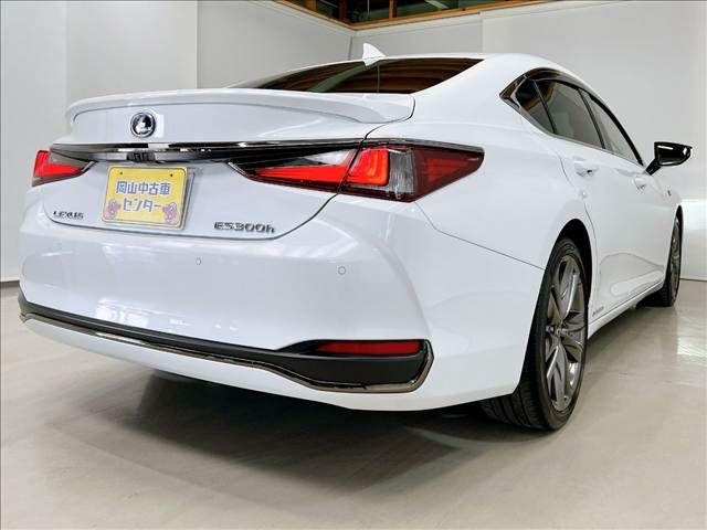 LEXUS ES300h