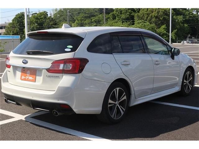 LEVORG