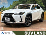 LEXUS UX250h