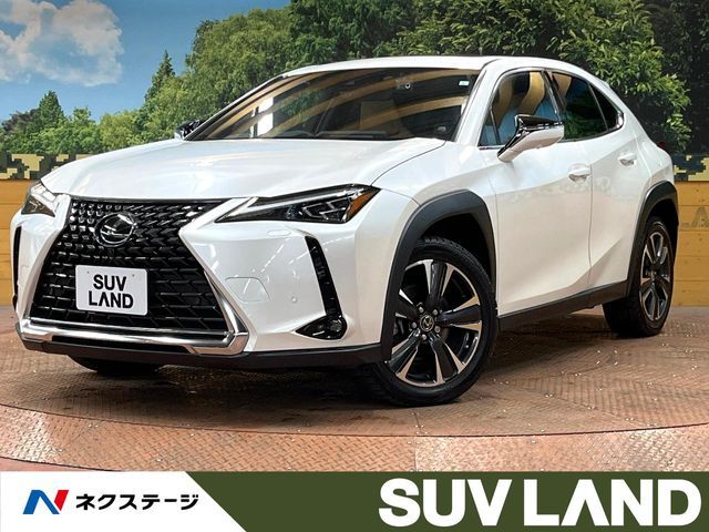 LEXUS UX250h