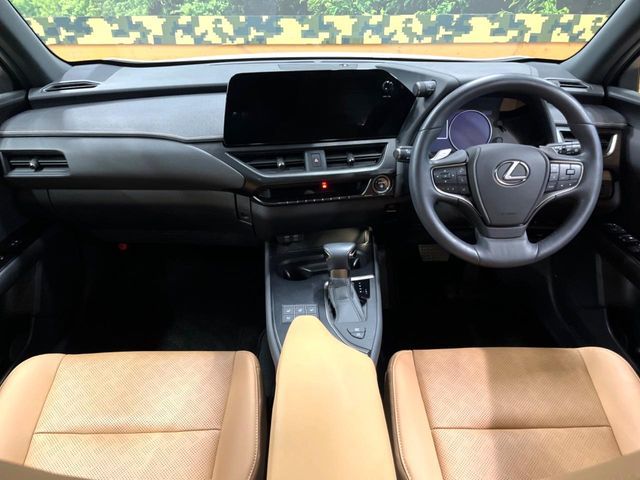 LEXUS UX250h